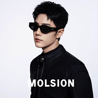 Molsion MS3123 C10 zoom